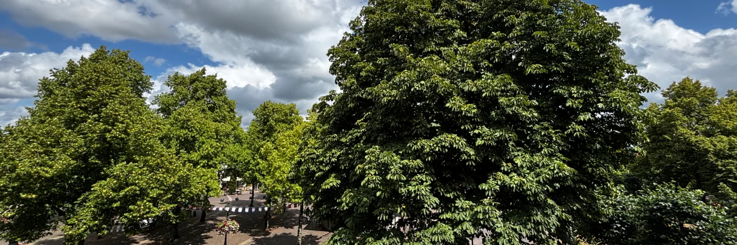 Perspectief voor de toekomst: een mooie stap voor Baarn