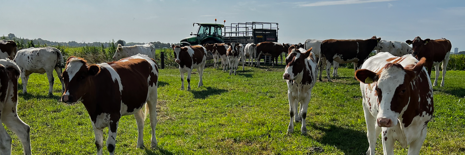 Een vroege ochtend in Eemland: Tussen beleidsplannen en de praktijk 🚜